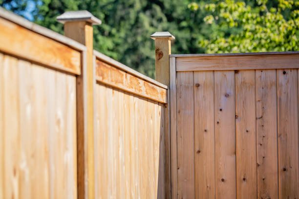 wooden fence nz