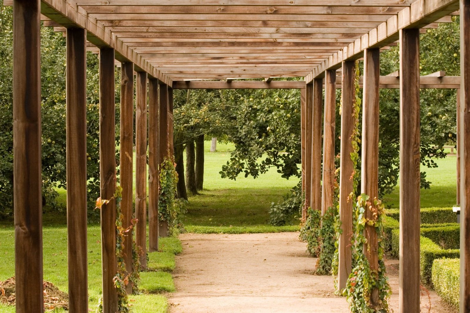pergolas new zealand